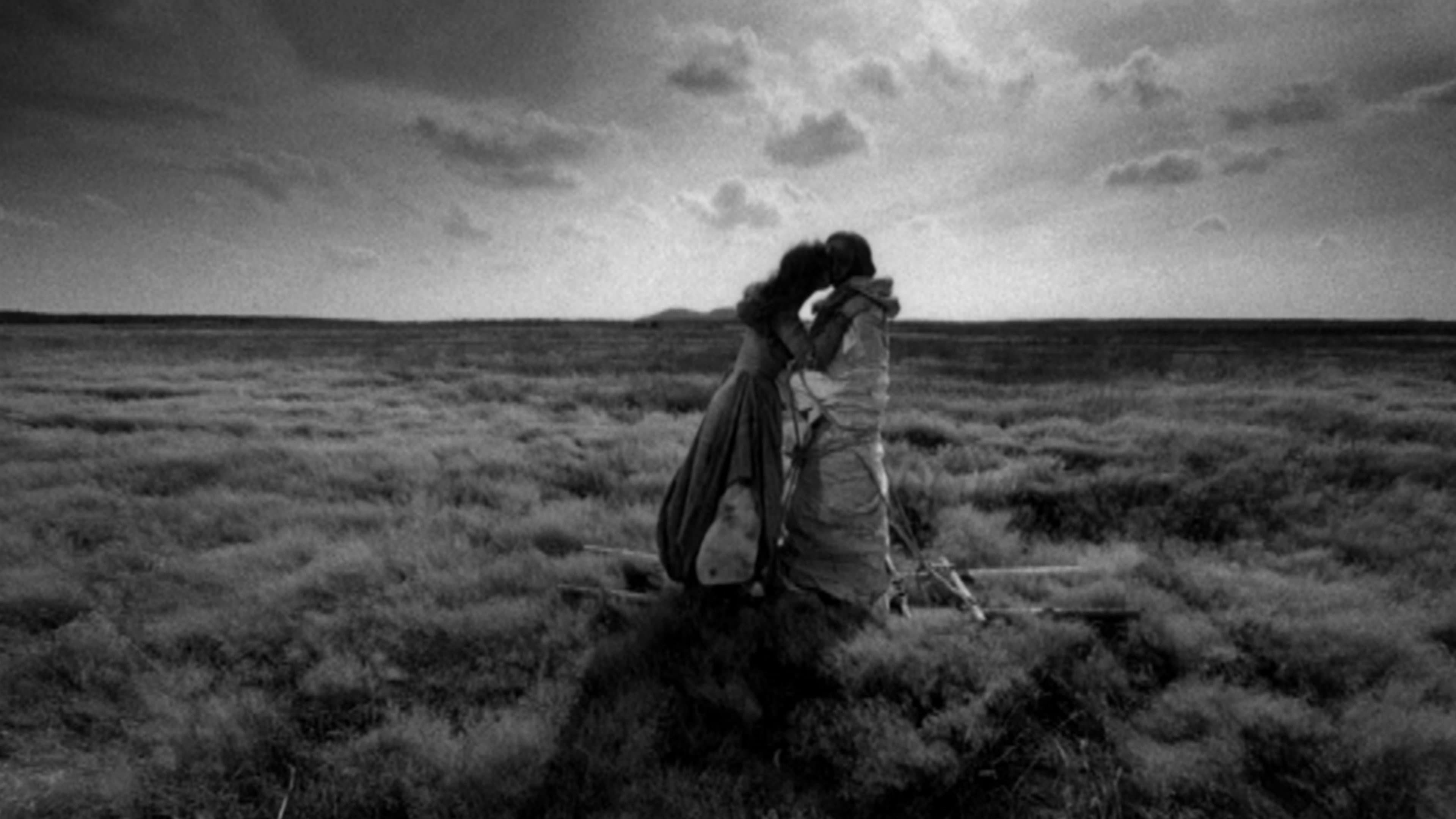 Anchoress - immagine