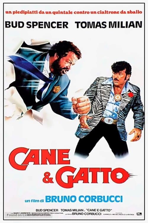Poster di Cane e gatto