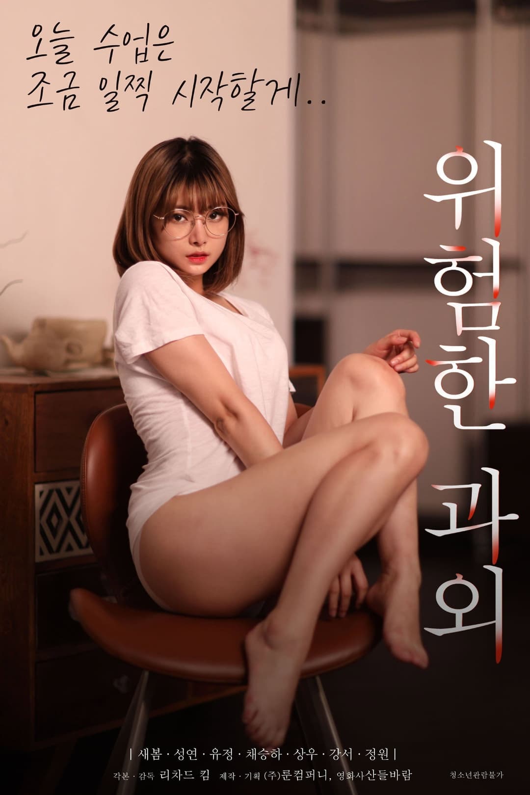 Poster di 위험한 과외