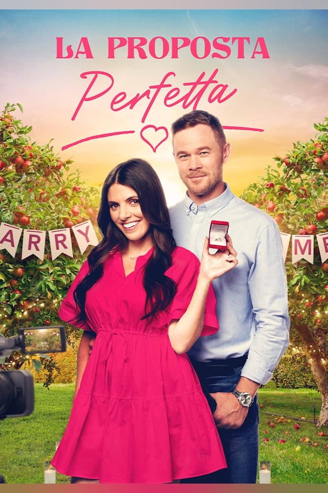 Poster di La proposta perfetta