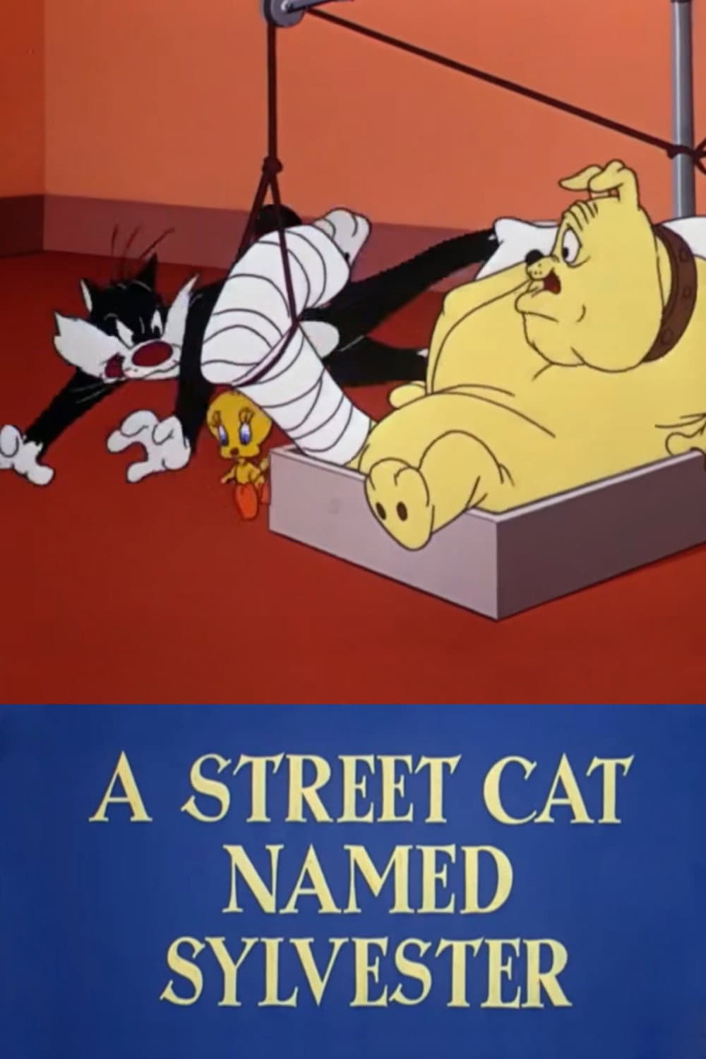 Poster di Un gatto randagio di nome Silvestro