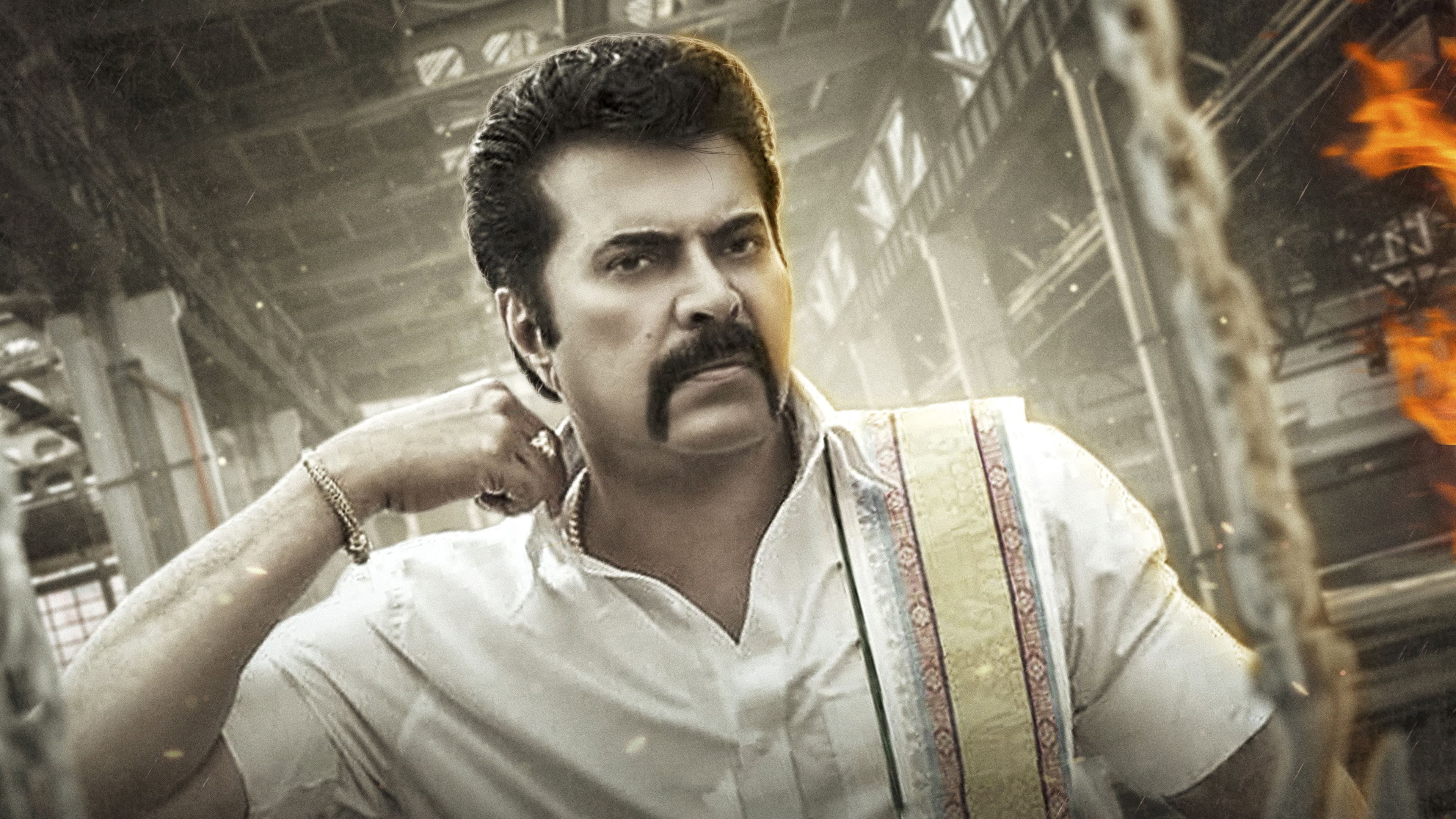 മധുരരാജാ - immagine