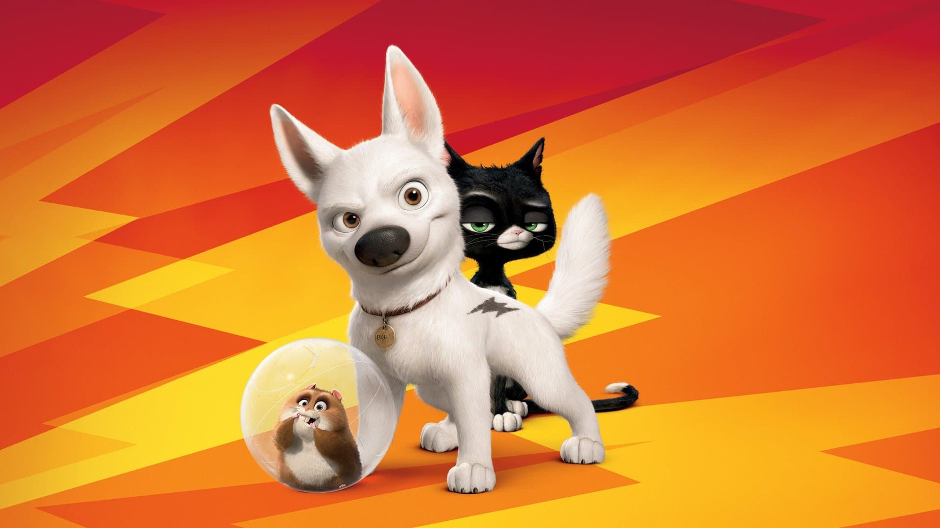 Bolt - Un eroe a quattro zampe - immagine