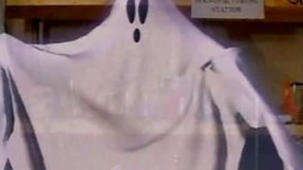 I Downloaded a Ghost - immagine