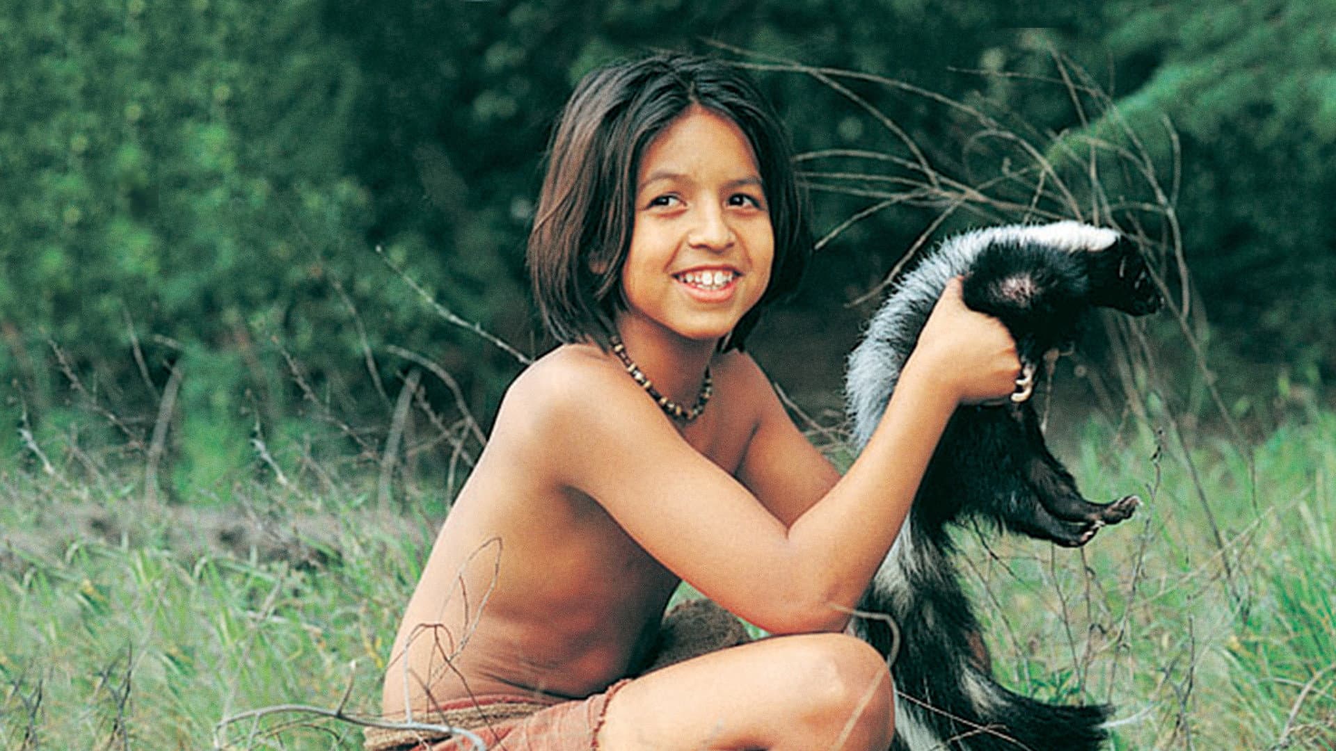 Mowgli e il libro della giungla - immagine