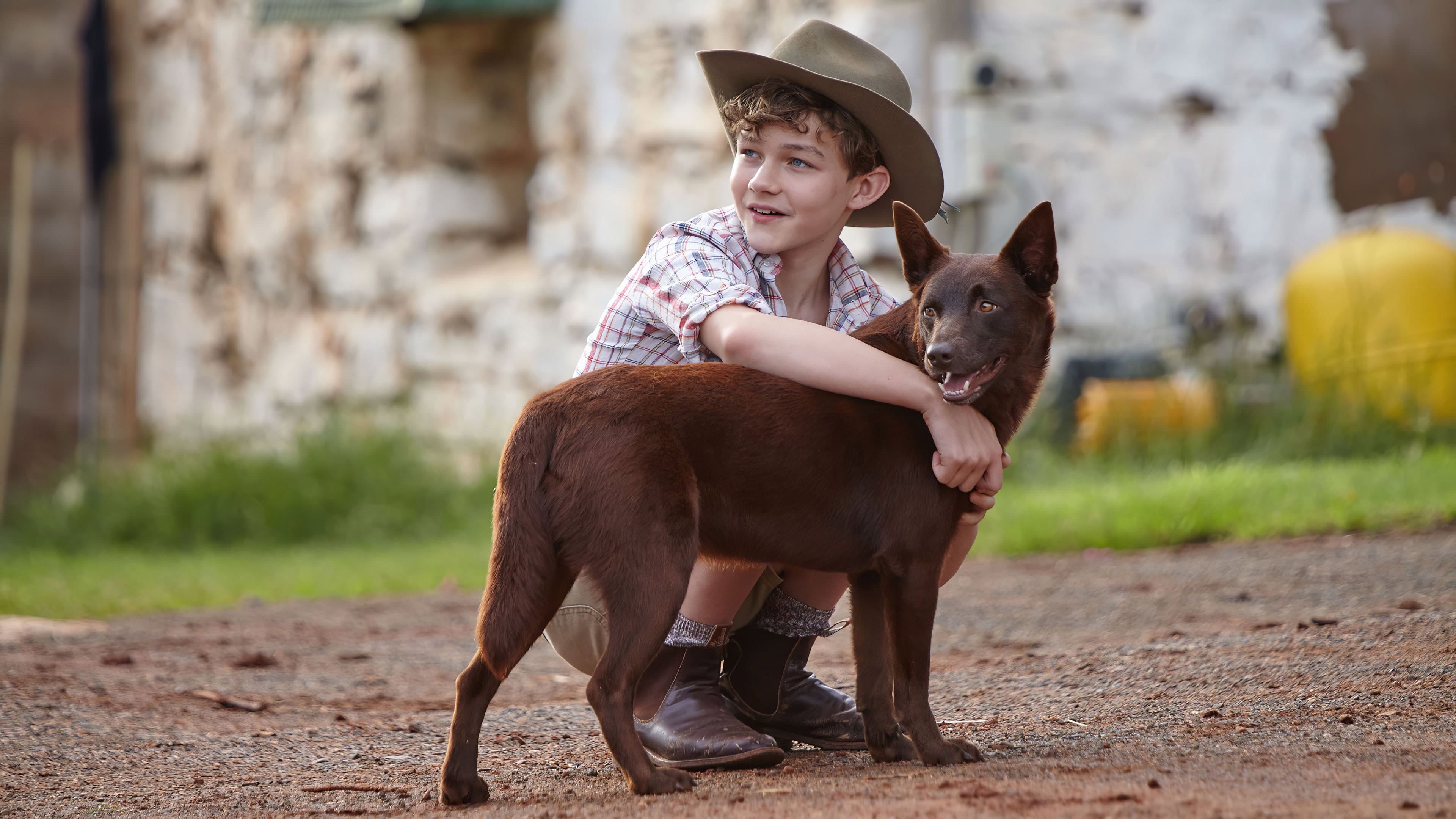 Red Dog - immagine