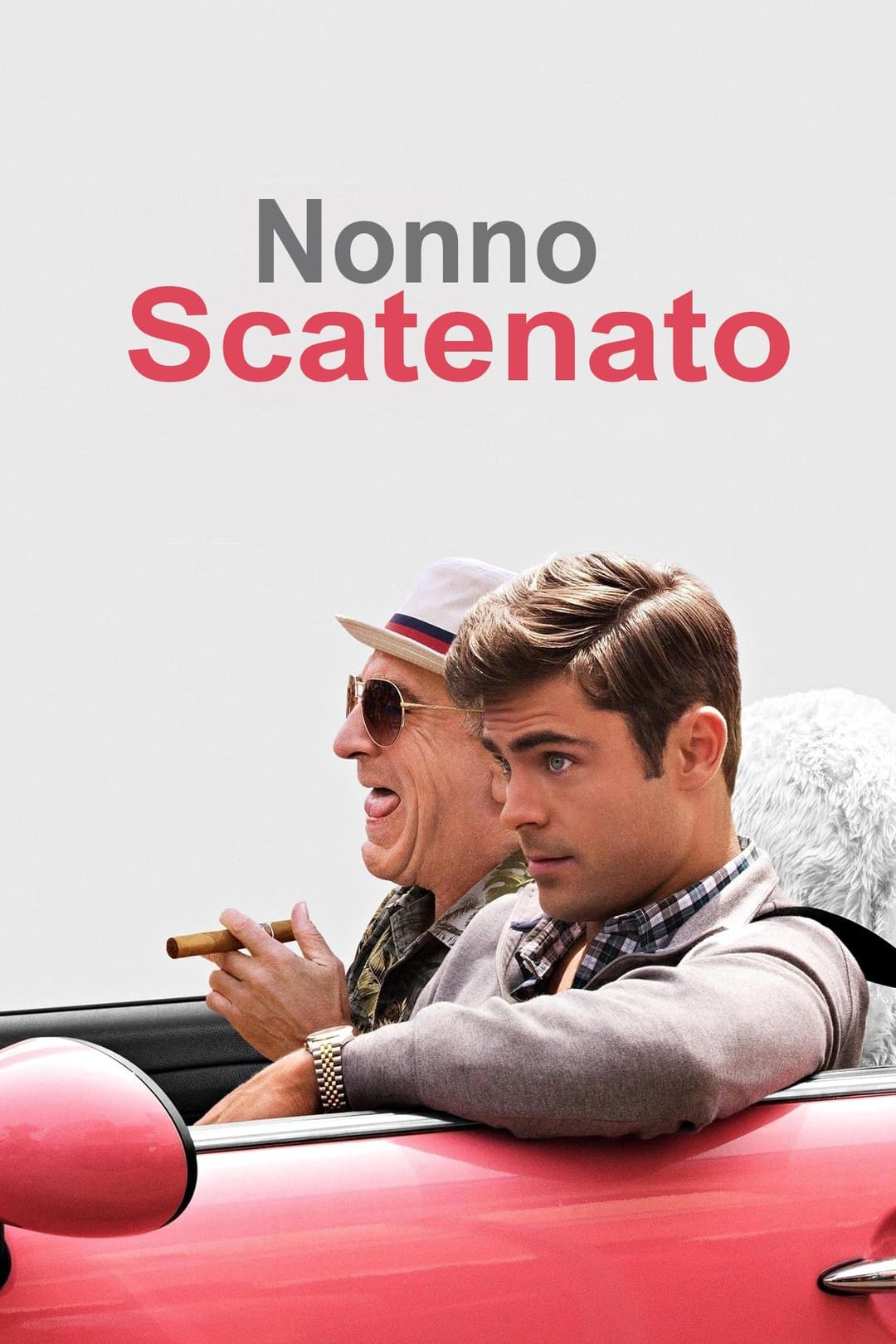 Poster di Nonno scatenato