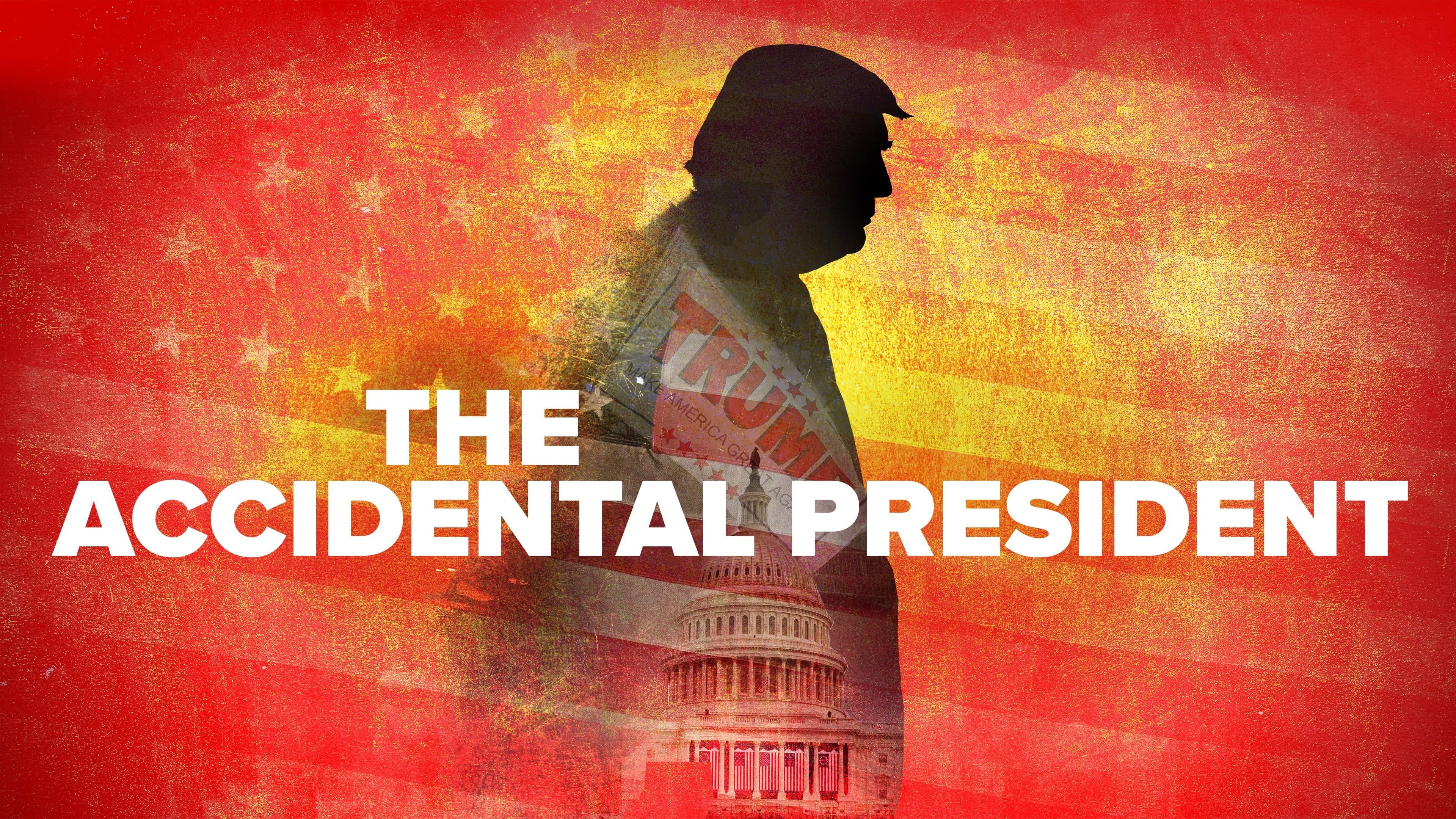 The Accidental President - immagine