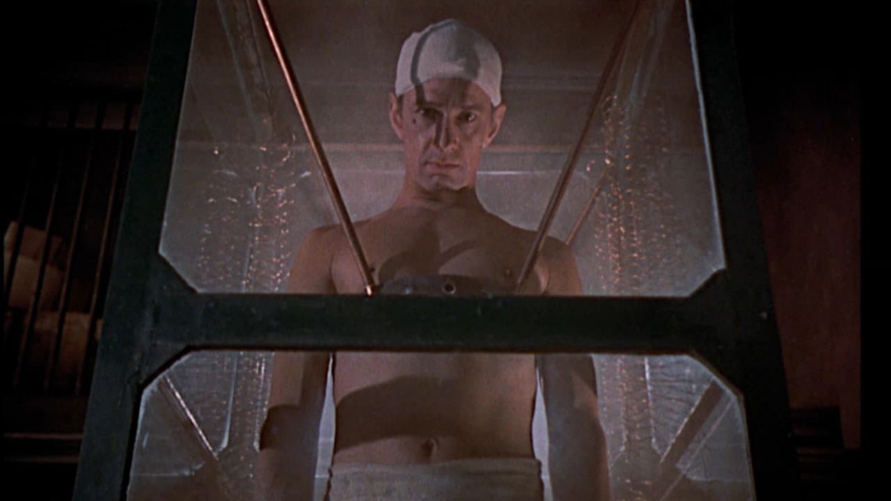 La vendetta di Frankenstein - immagine