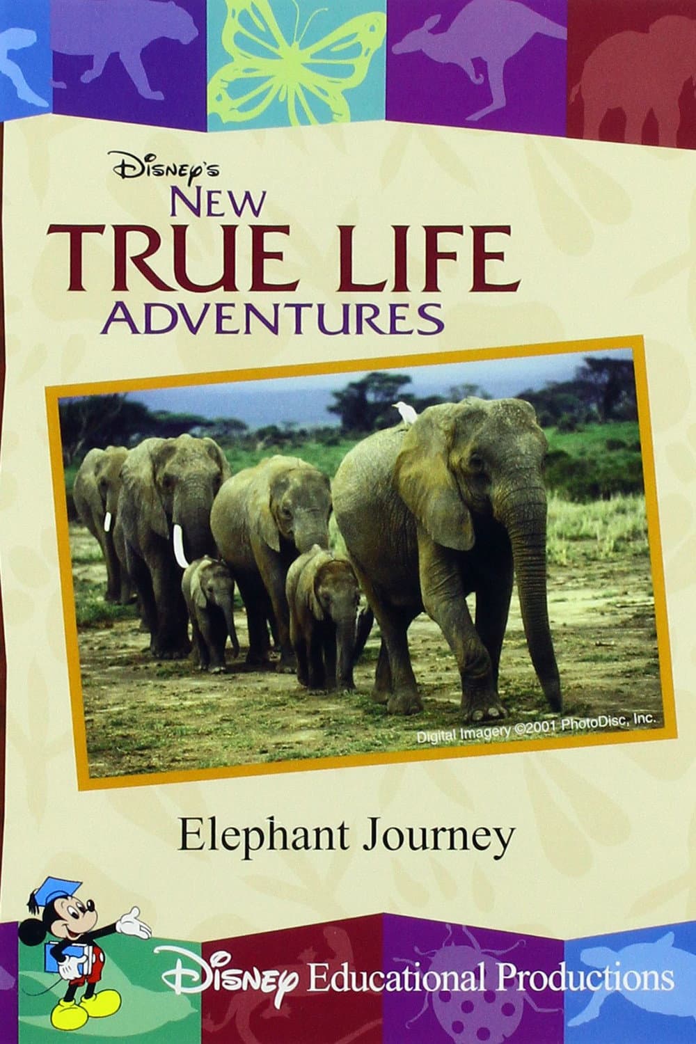 Poster di Elephant Journey