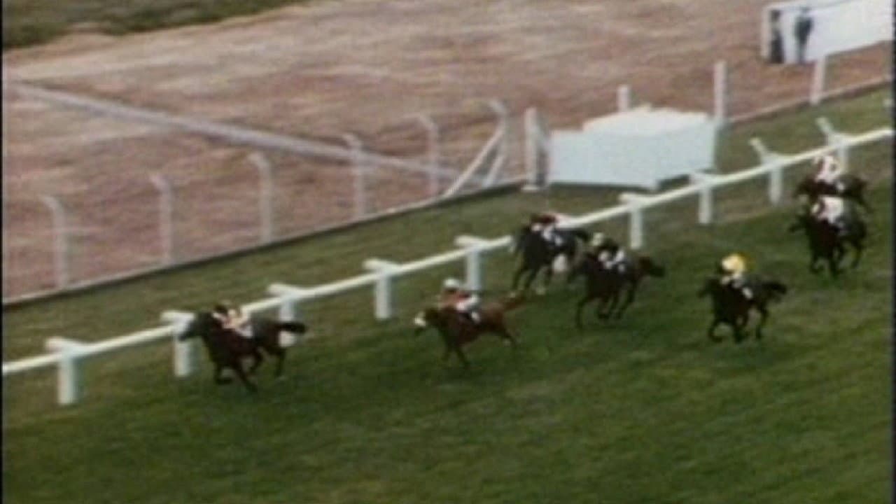 Punters - immagine