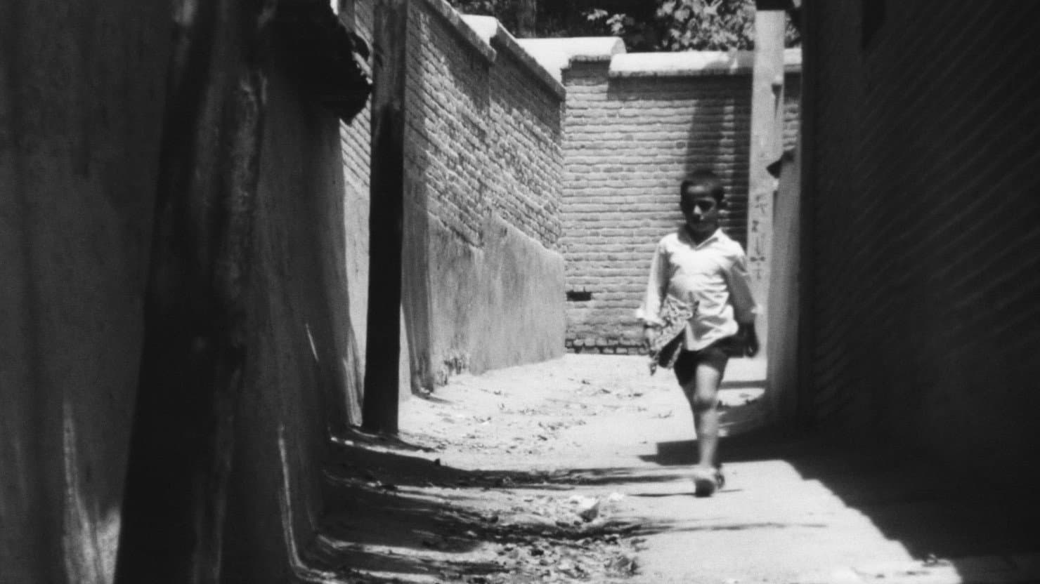 The Bread and Alley - immagine