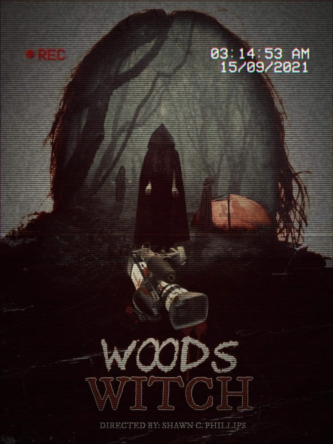 Poster di Woods Witch
