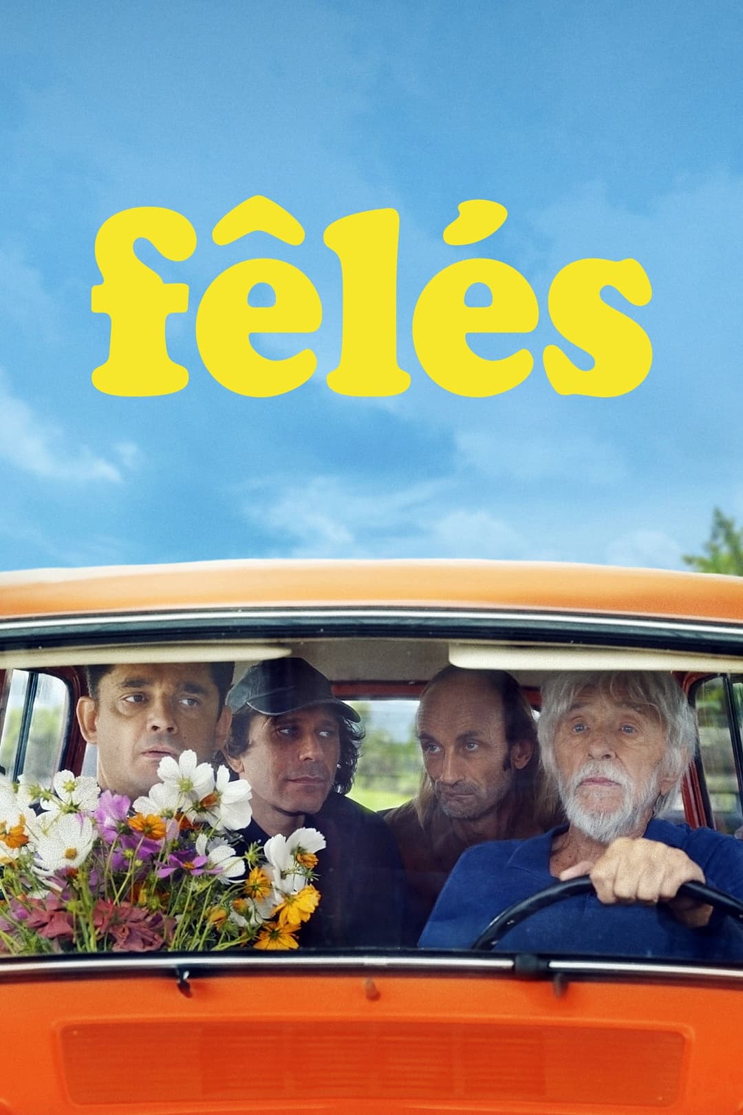Poster di Fêlés