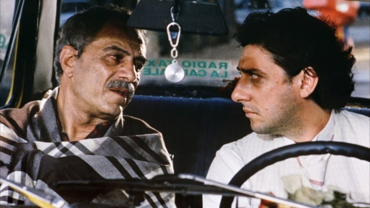 In viaggio con Alberto - immagine