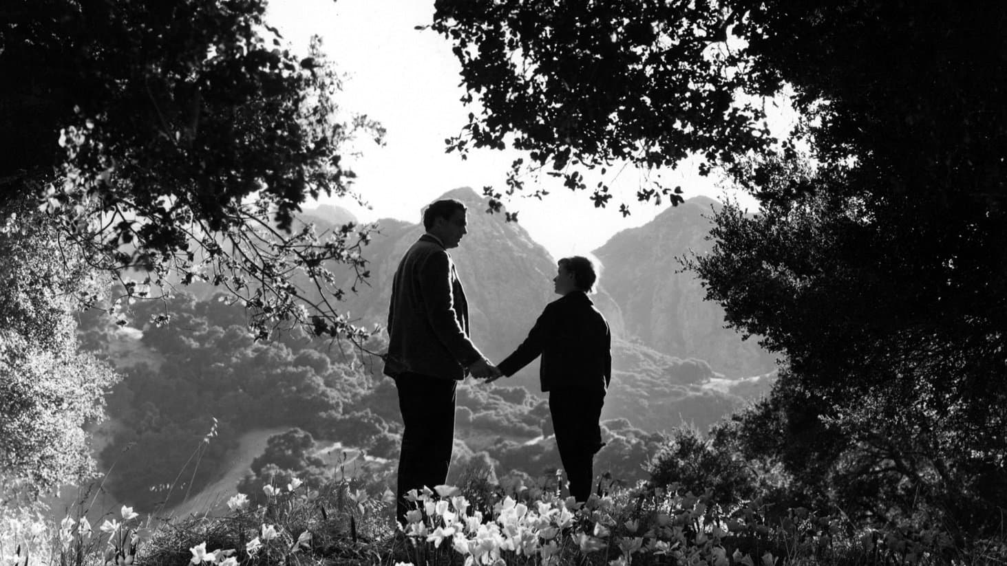 Com'era verde la mia valle - immagine