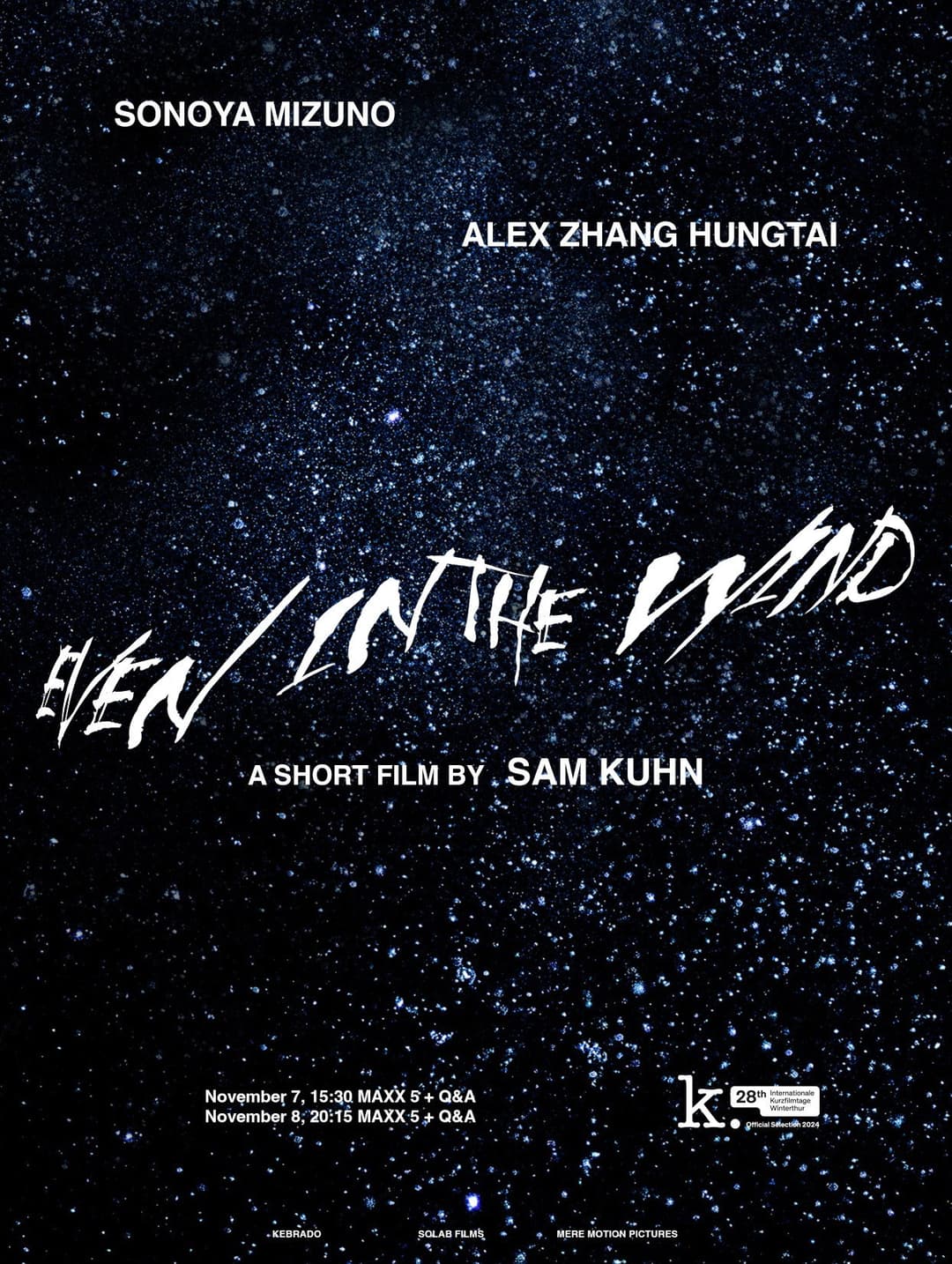 Poster di Even in the Wind