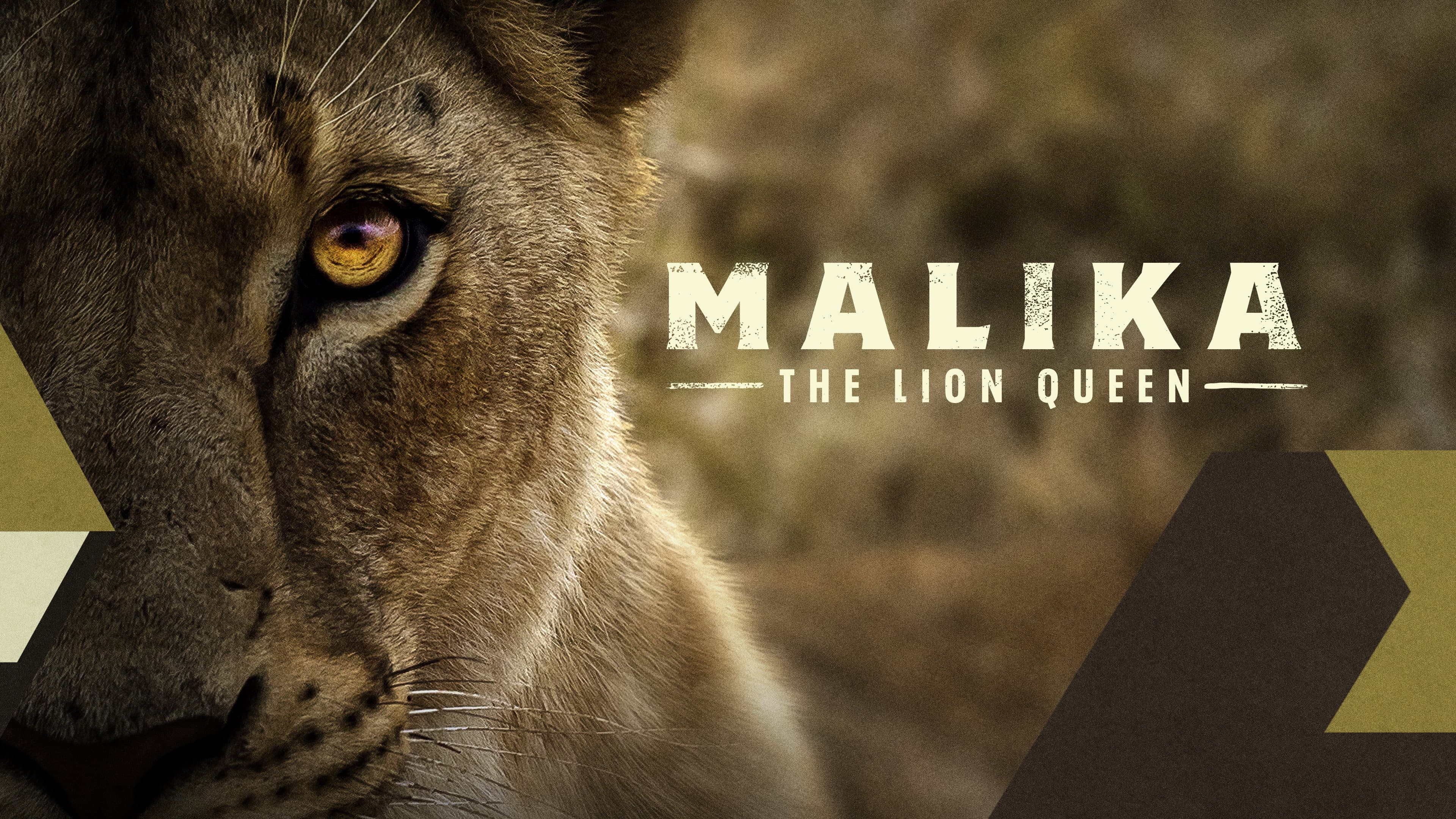 Malika the Lion Queen - immagine