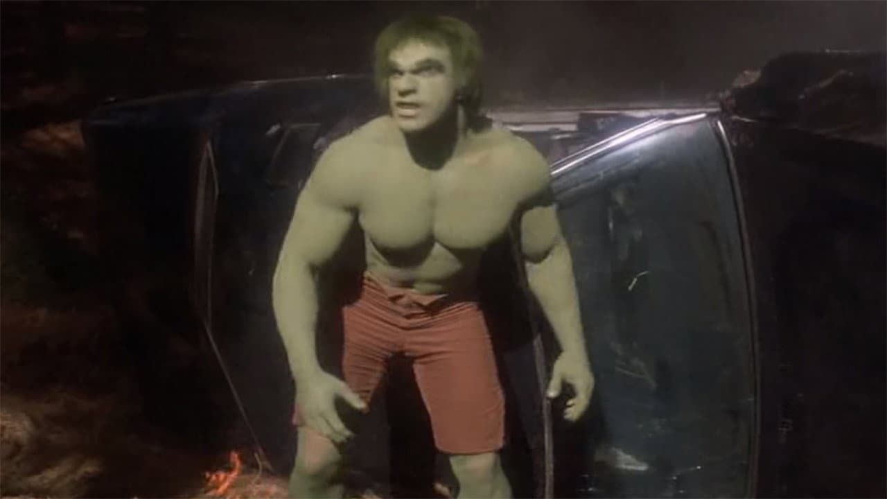 L'Incroyable Hulk : L'Homme Mystère - immagine