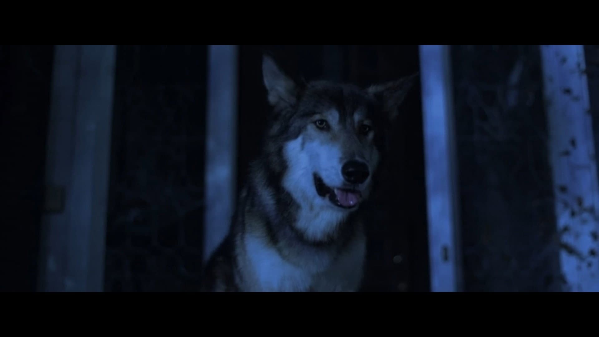 Lycan - immagine