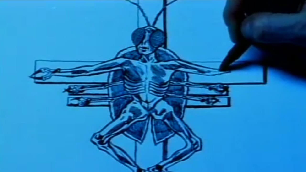Autobiography of an Insect - immagine
