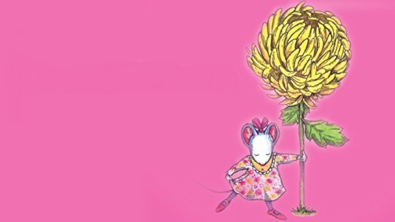 Chrysanthemum - immagine