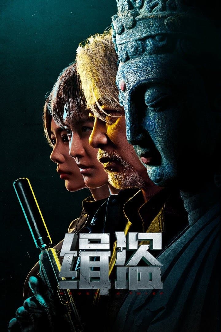 Poster di 缉盗