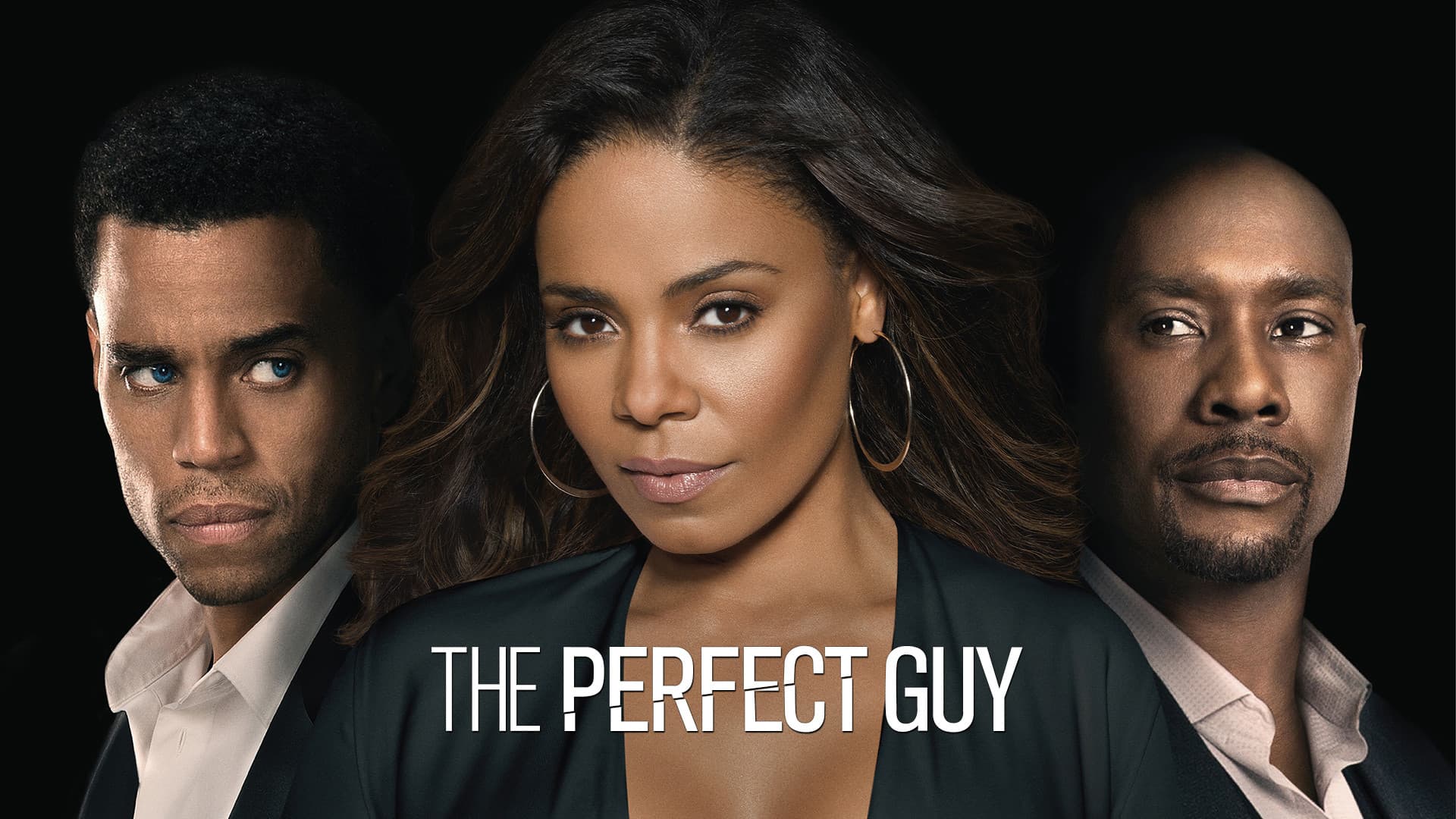 The Perfect Guy - immagine