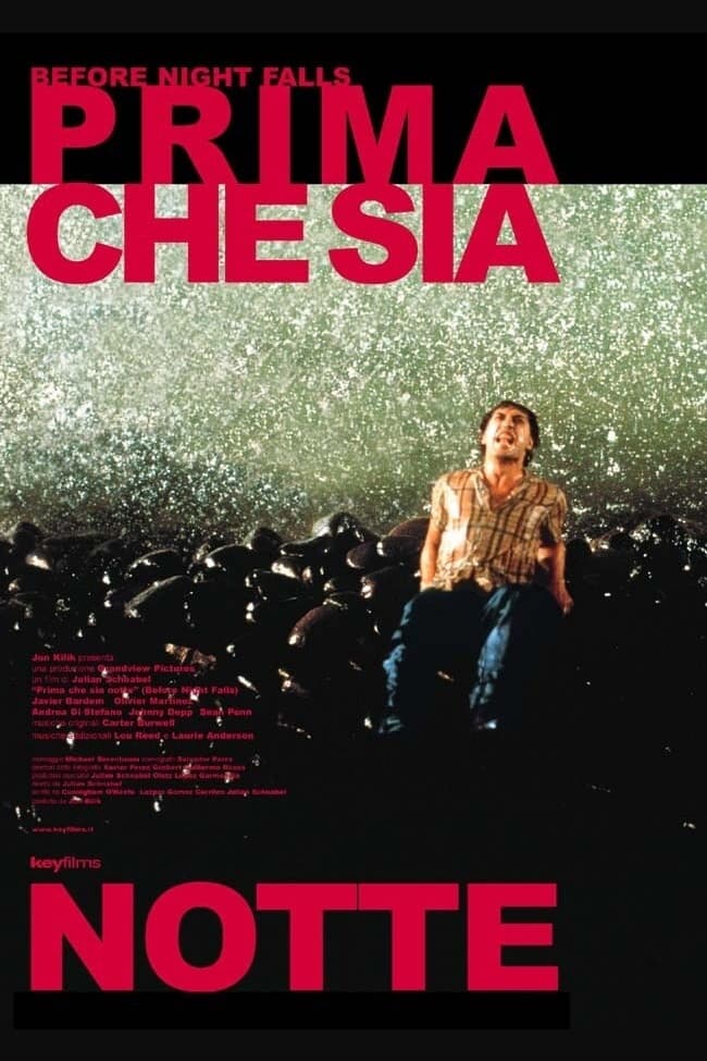 Poster di Prima che sia notte