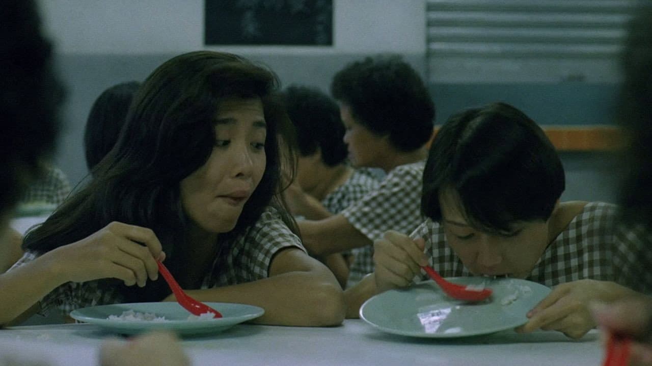 第一繭 - immagine