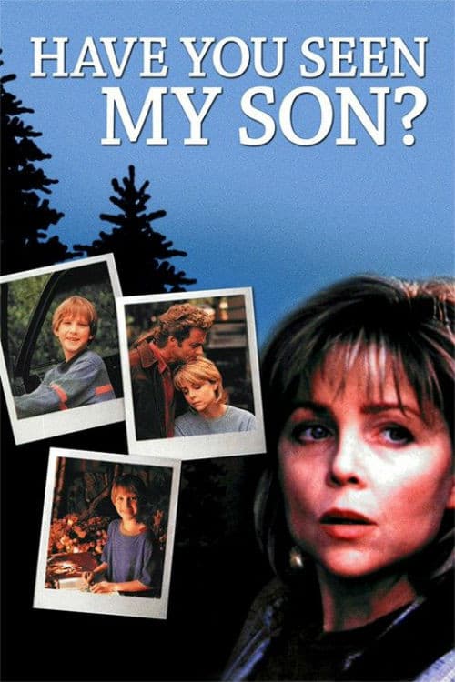 Poster di Have You Seen My Son