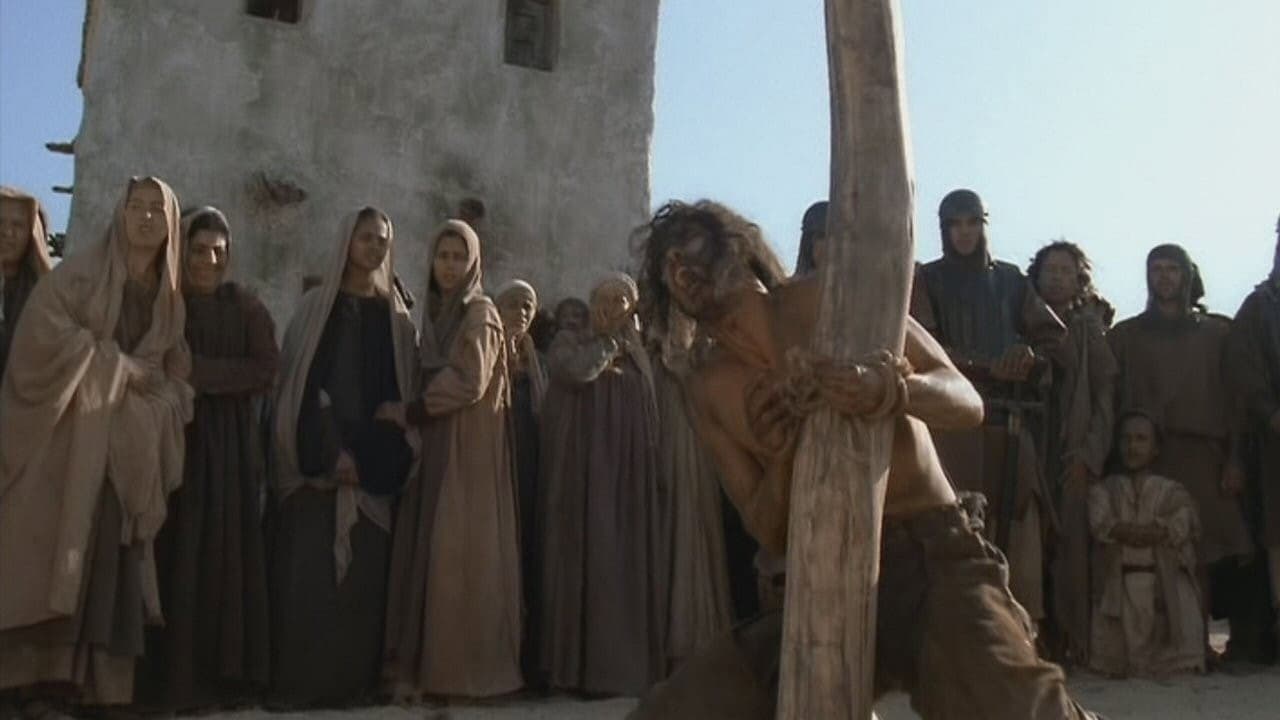Crociati - immagine