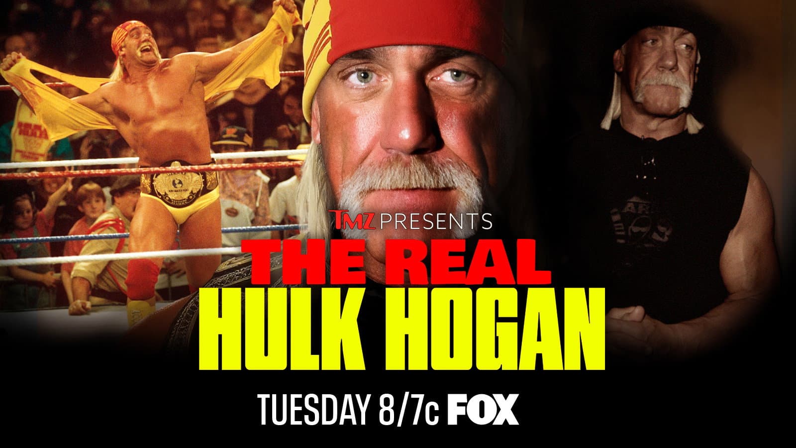 TMZ Presents: The Real Hulk Hogan - immagine