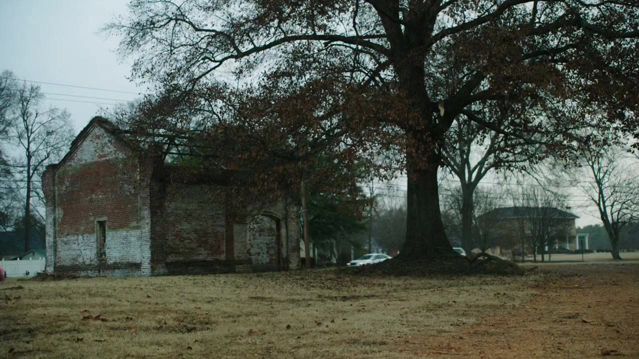 Texas Heart - immagine