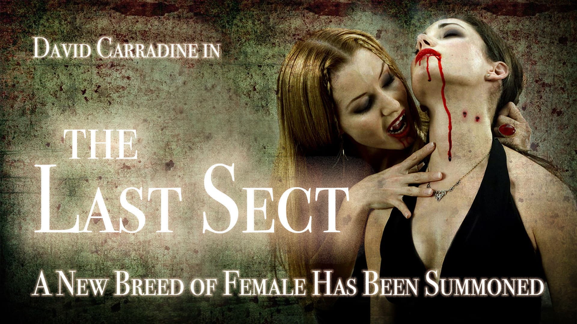 The Last Sect - immagine