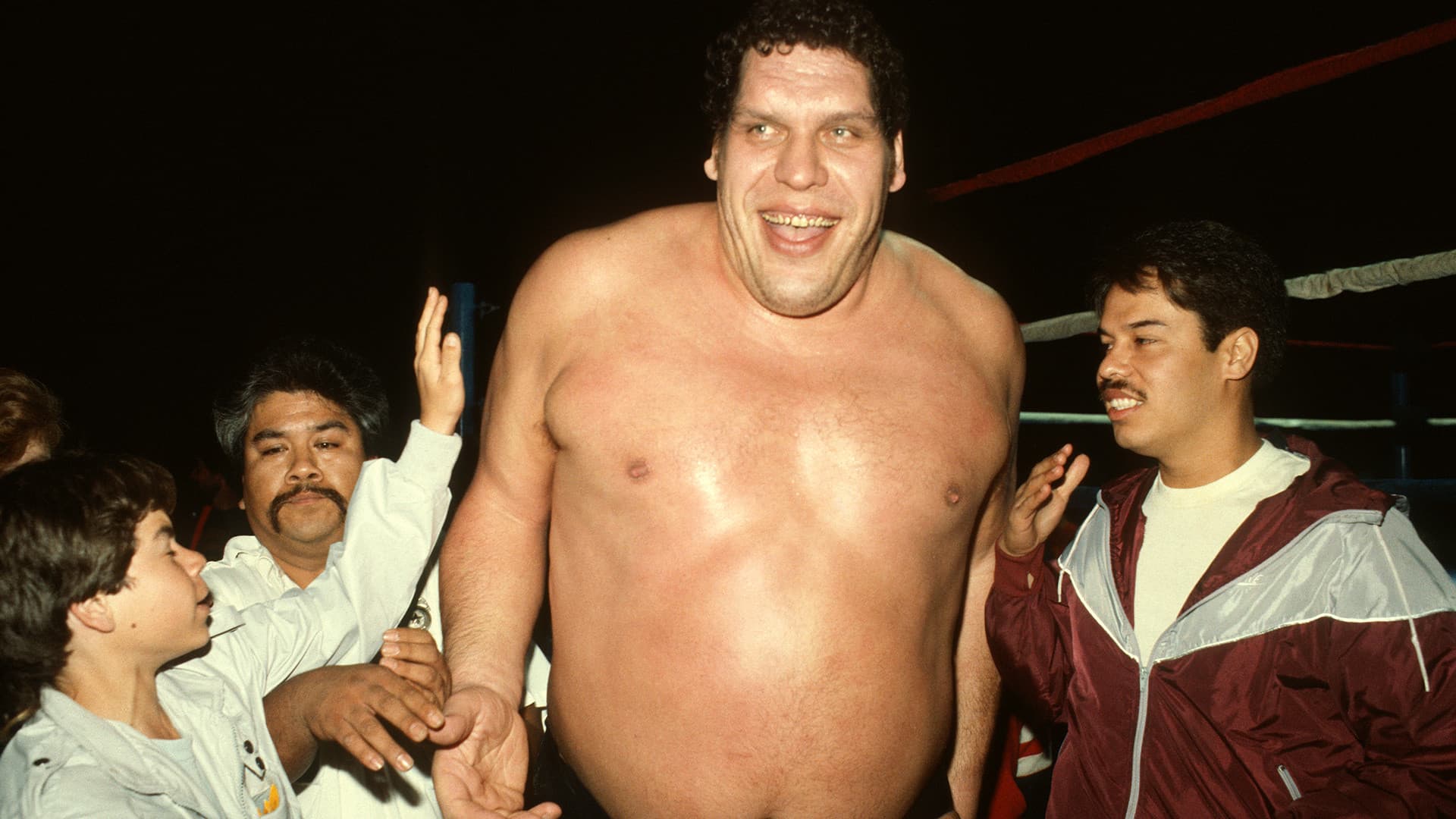 Andre the Giant - immagine