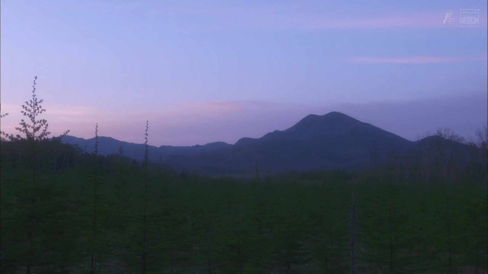 遙かなる山の呼び声 - immagine