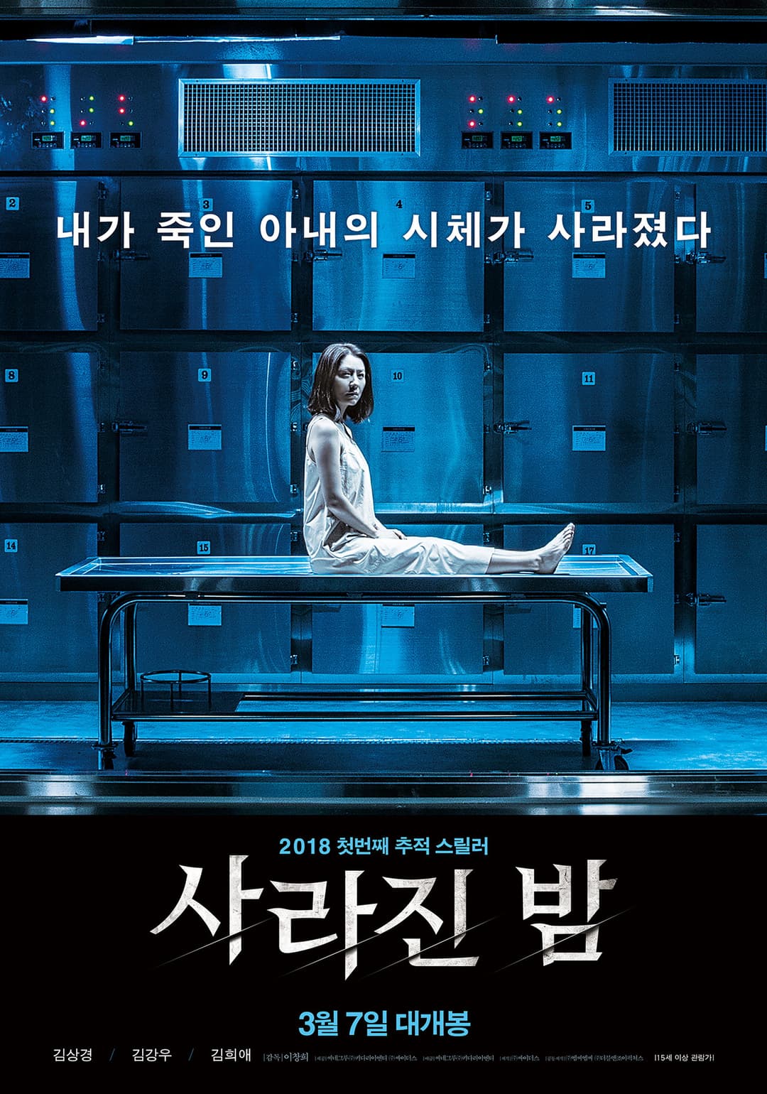 Poster di The Vanished