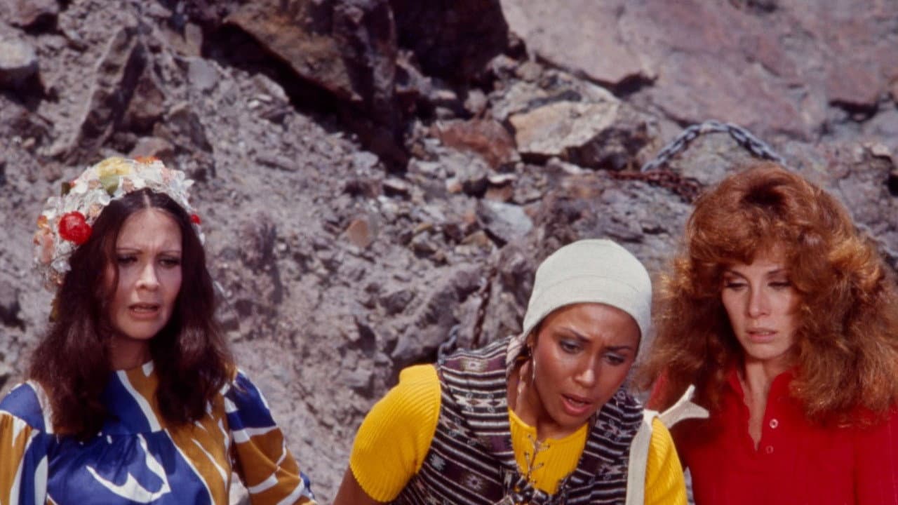 Five Desperate Women - immagine