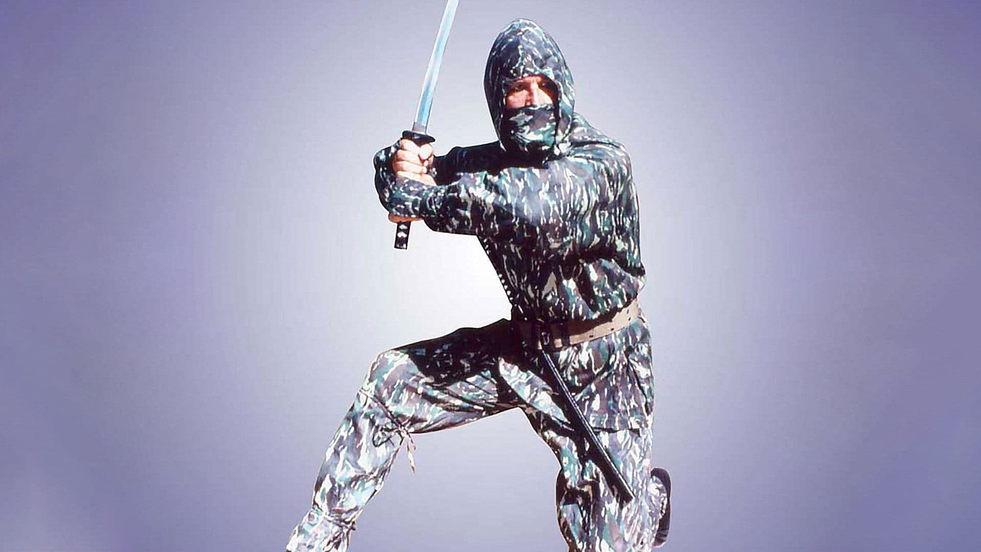 Ninja Terminator - immagine
