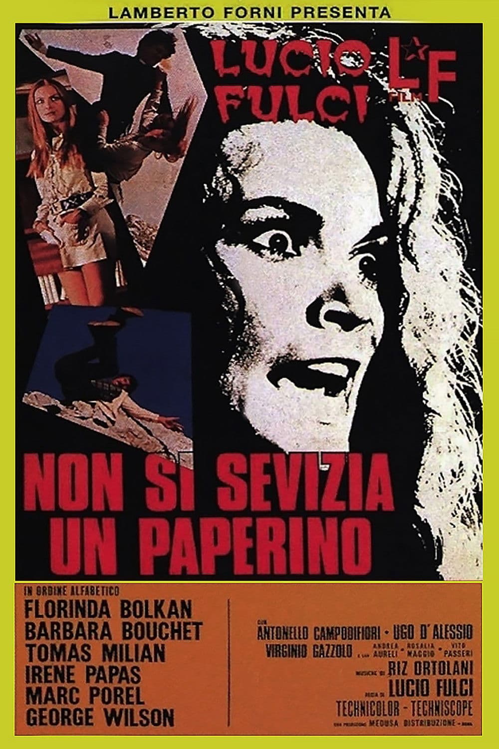 Poster di Non si sevizia un paperino
