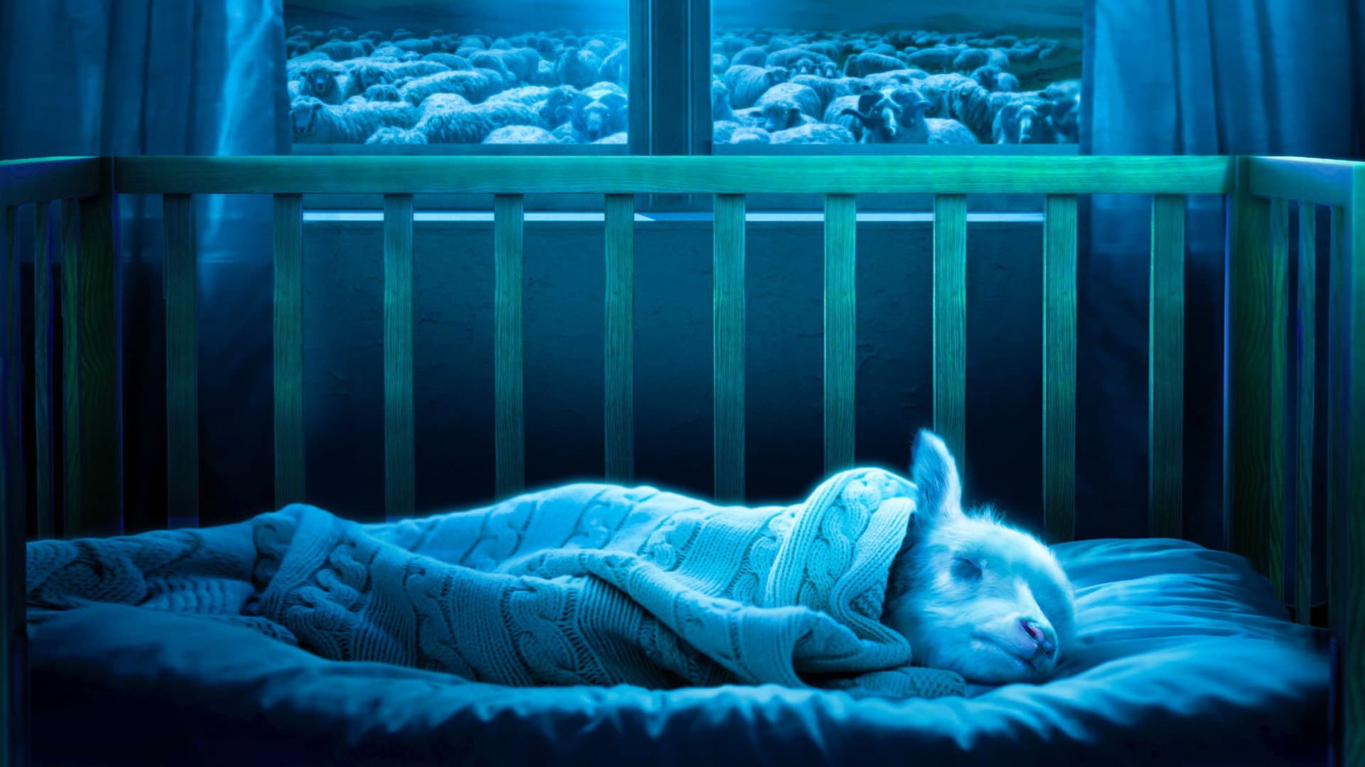 Lamb - immagine