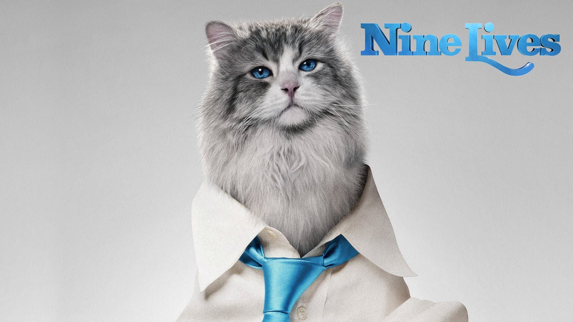 Una vita da gatto - immagine