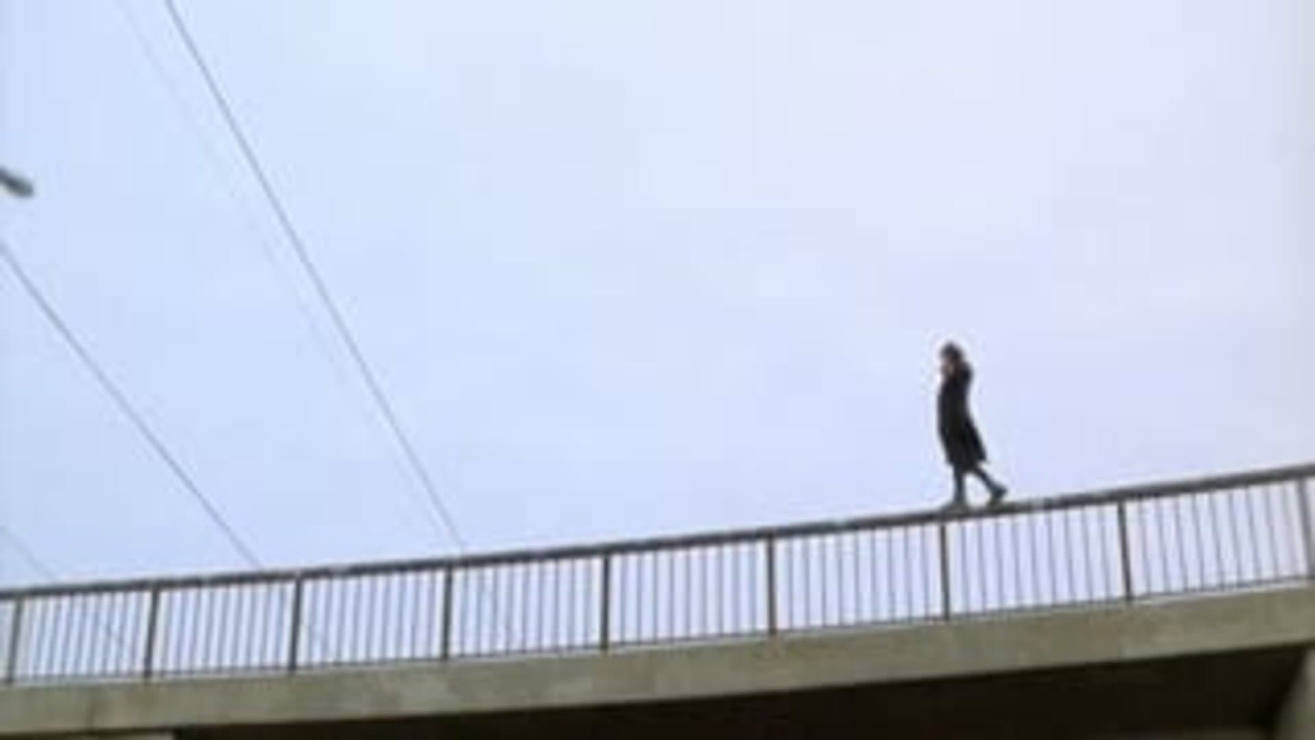 Beck 03 - Vita nätter - immagine