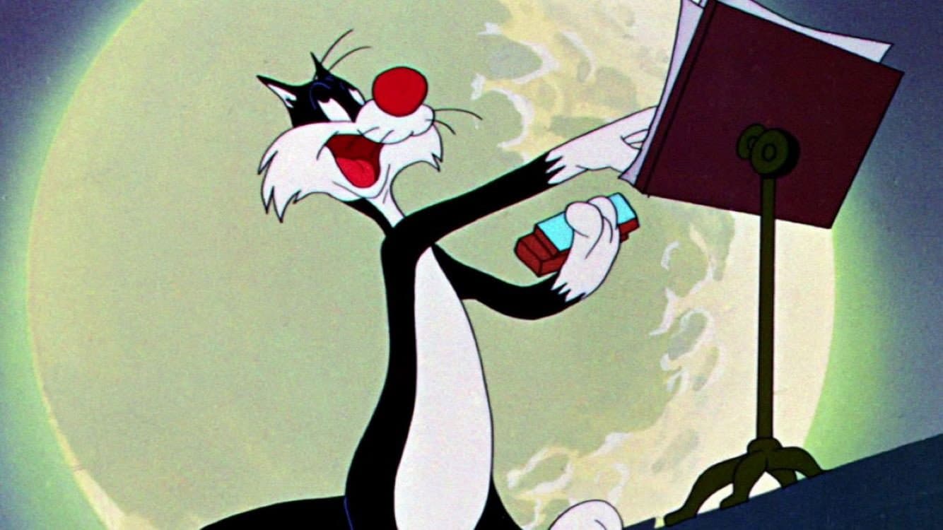 Il gatto canterino - immagine