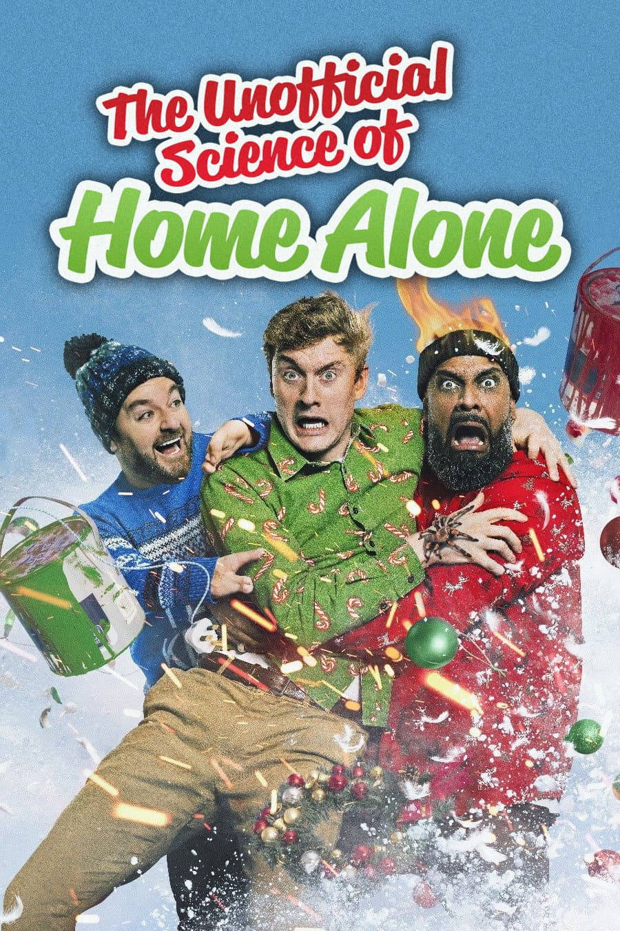 Poster di The Unofficial Science of Home Alone