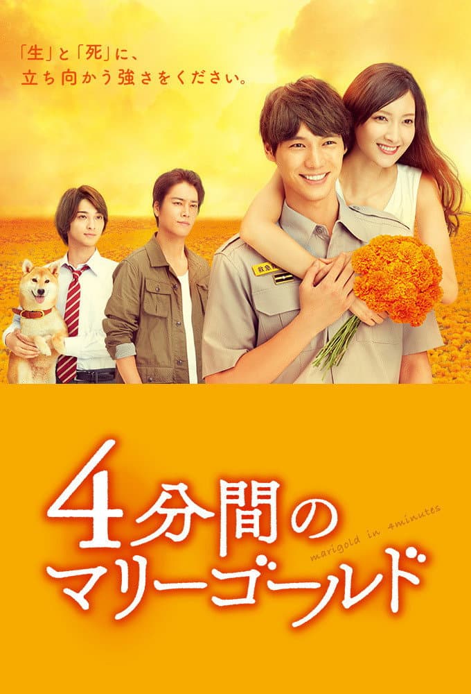 Poster di 4分間のマリーゴールド