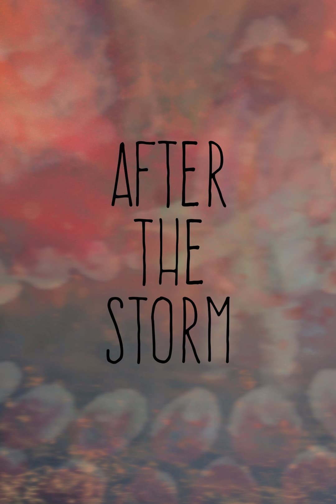 Poster di After the Storm