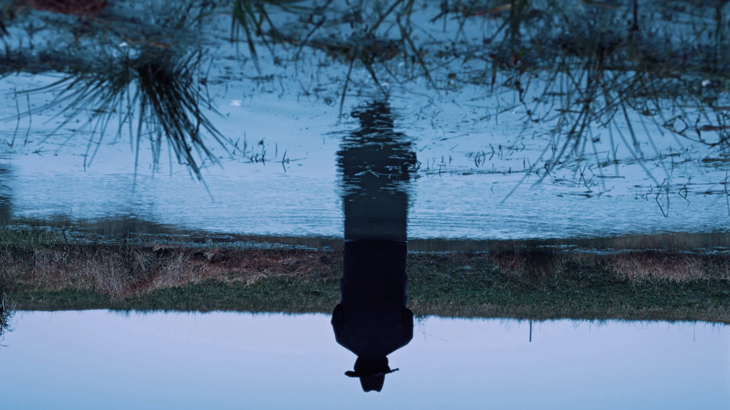 A Short Story - immagine
