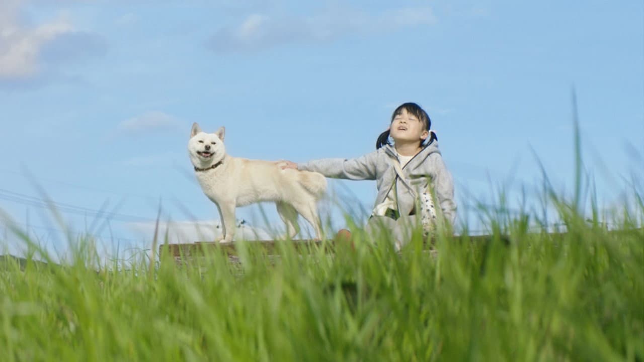 駅までの道をおしえて - immagine